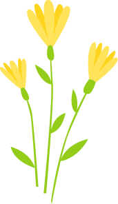 shape-image